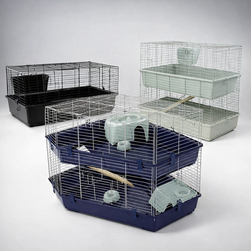 Rabbit guinea pig - pig, indoor
